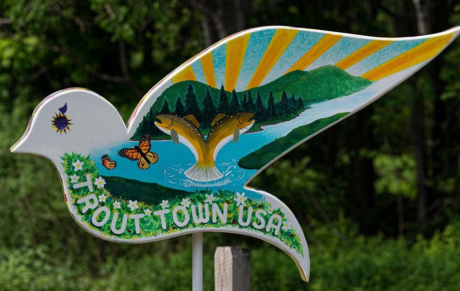 Sullivan County Dove Trail