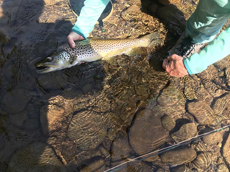 Fresh Water Fishing